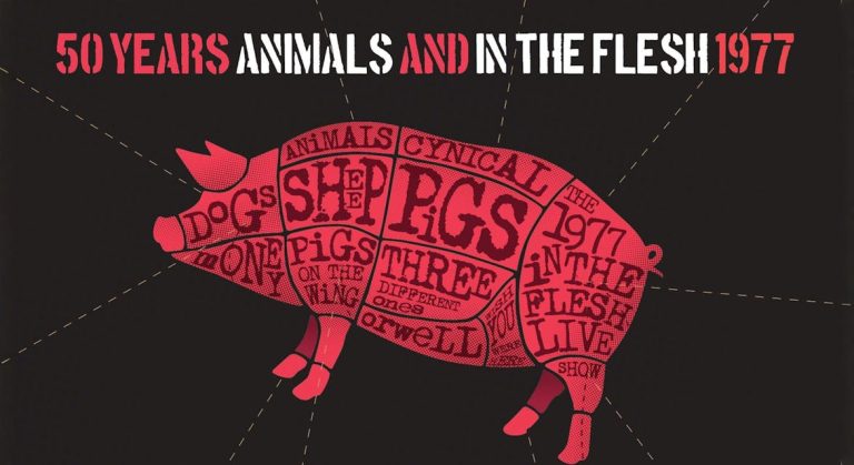 Pink Floyd Project – 50 Years of Animals & In The Flesh Tour — uitgaan in Veghel