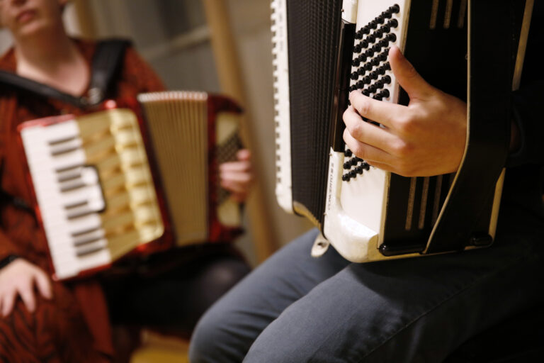 Accordeondag — muziek in Veghel