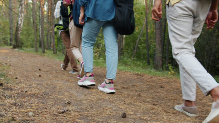Wandeling d’n Brouwer — natuur in Veghel