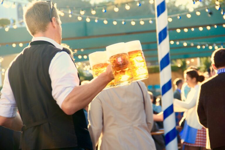 Dommel Park Festival — muziek in Veghel