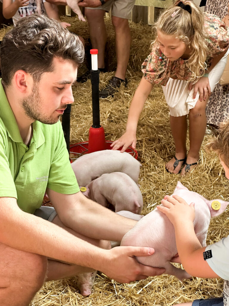 Het Weekend van het Varken — open-dag in Veghel