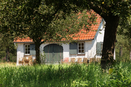Appels en Stoofperen Plukken — natuur in Veghel
