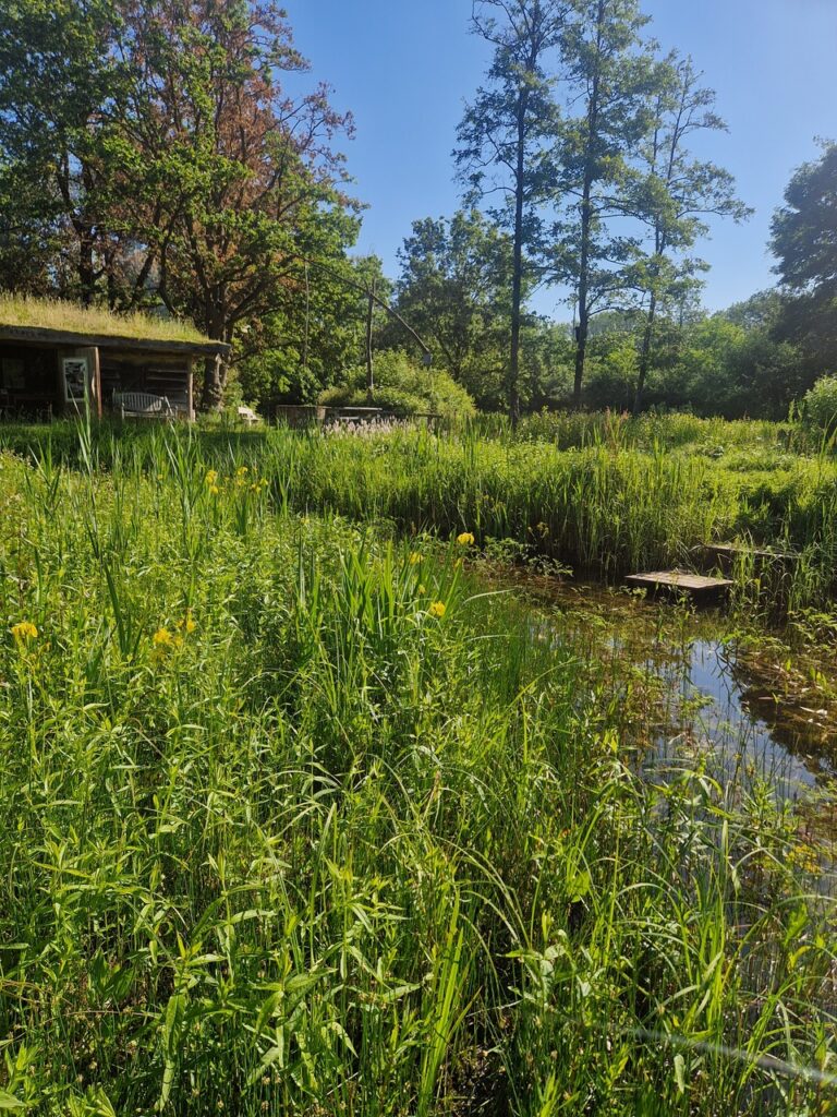 Rondwandeling Heempark de Blekert in Veghel