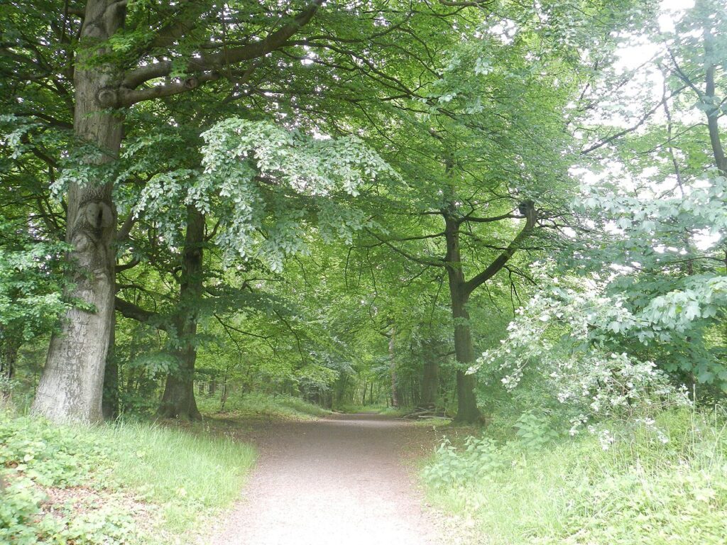 Nieuw: Podtrip ‘Land van Kien’ in Veghel