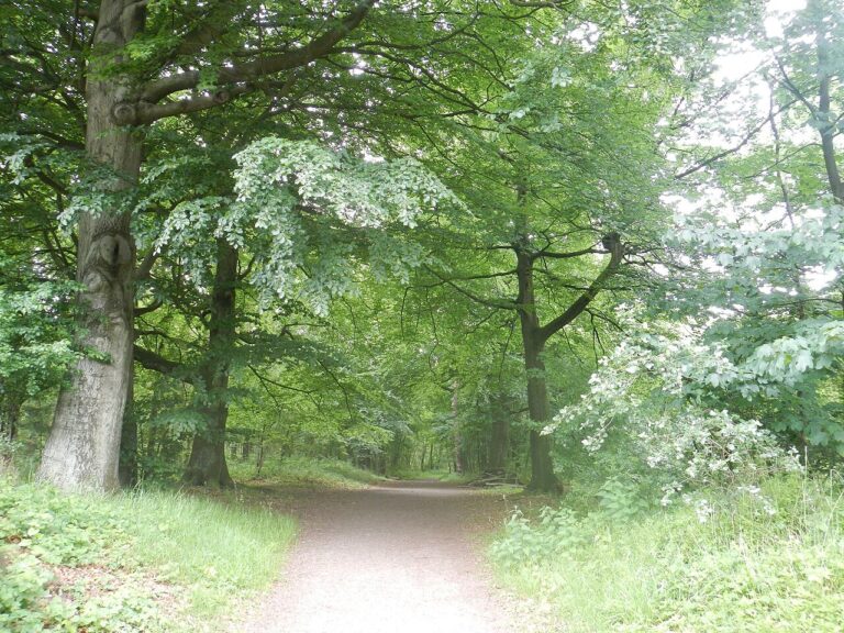 Nieuw: Podtrip ‘Land van Kien’ — natuur in Veghel