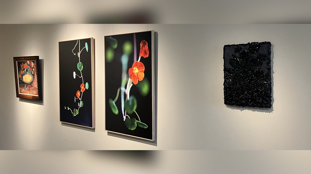 De pracht van bloemen in Veghel